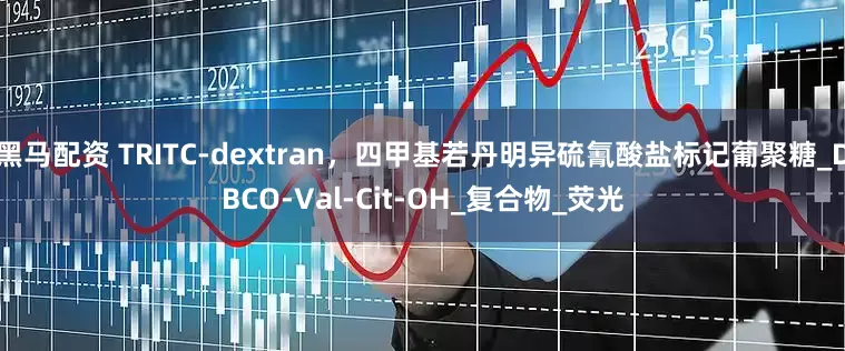 黑马配资 TRITC-dextran，四甲基若丹明异硫氰酸盐标记葡聚糖_DBCO-Val-Cit-OH_复合物_荧光