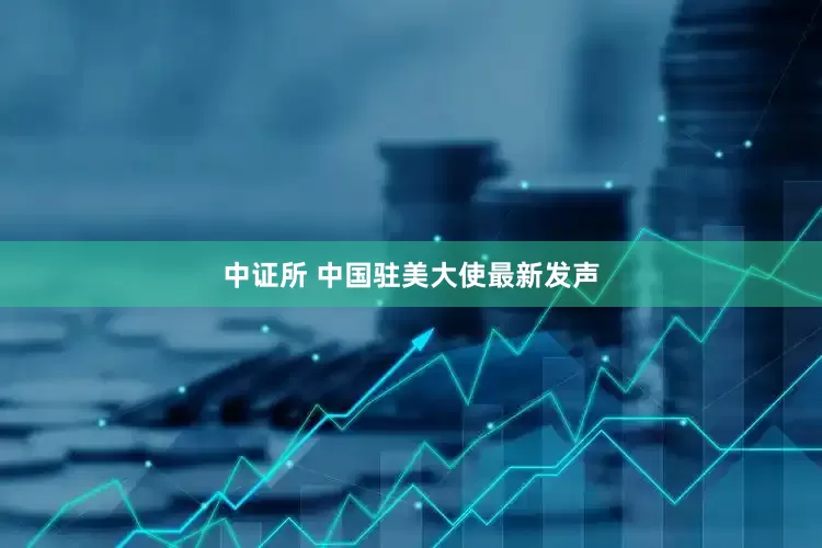 中证所 中国驻美大使最新发声
