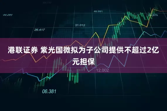 港联证券 紫光国微拟为子公司提供不超过2亿元担保