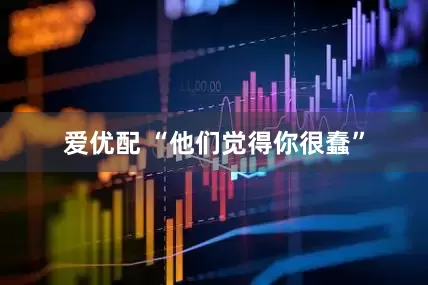 爱优配 “他们觉得你很蠢”